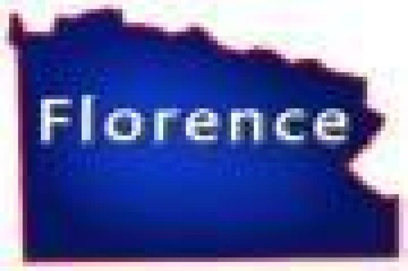 Florence County Wisconsin Log Homes for Sale