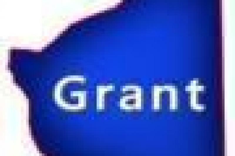 Grant County Wisconsin Log Homes for Sale