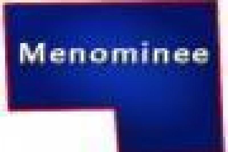 Menominee County Wisconsin Log Homes for Sale