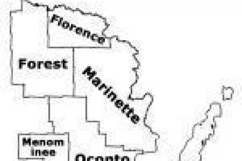 Northeast Wisconsin Log Homes for Sale