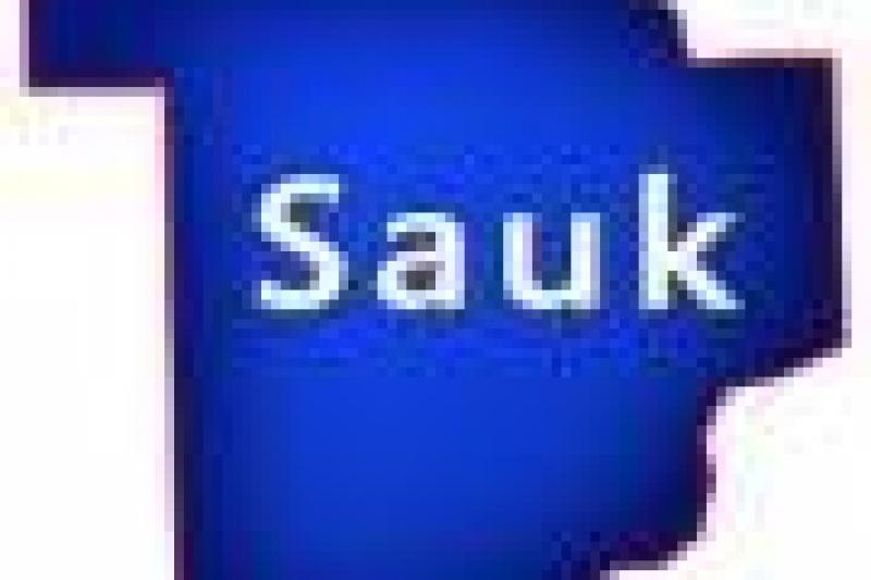 Sauk County Wisconsin Log Homes for Sale