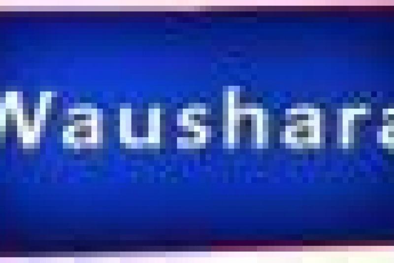 Waushara County Wisconsin Log Homes for Sale